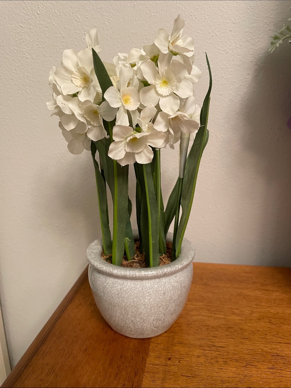 Faux Paperwhite Plant with White Flowers in a Gray Ceramic Planter or Pot